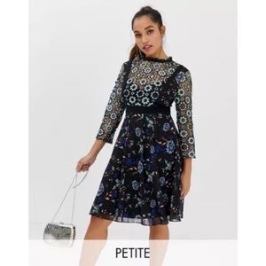 Little Mistress Petite Floral Lace Skater Dress Black & Blue